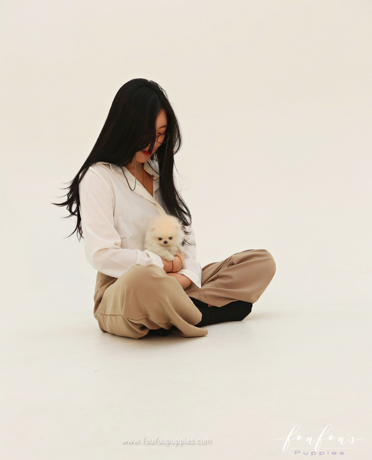 Tiara - Pomeranian F. (Found Home)