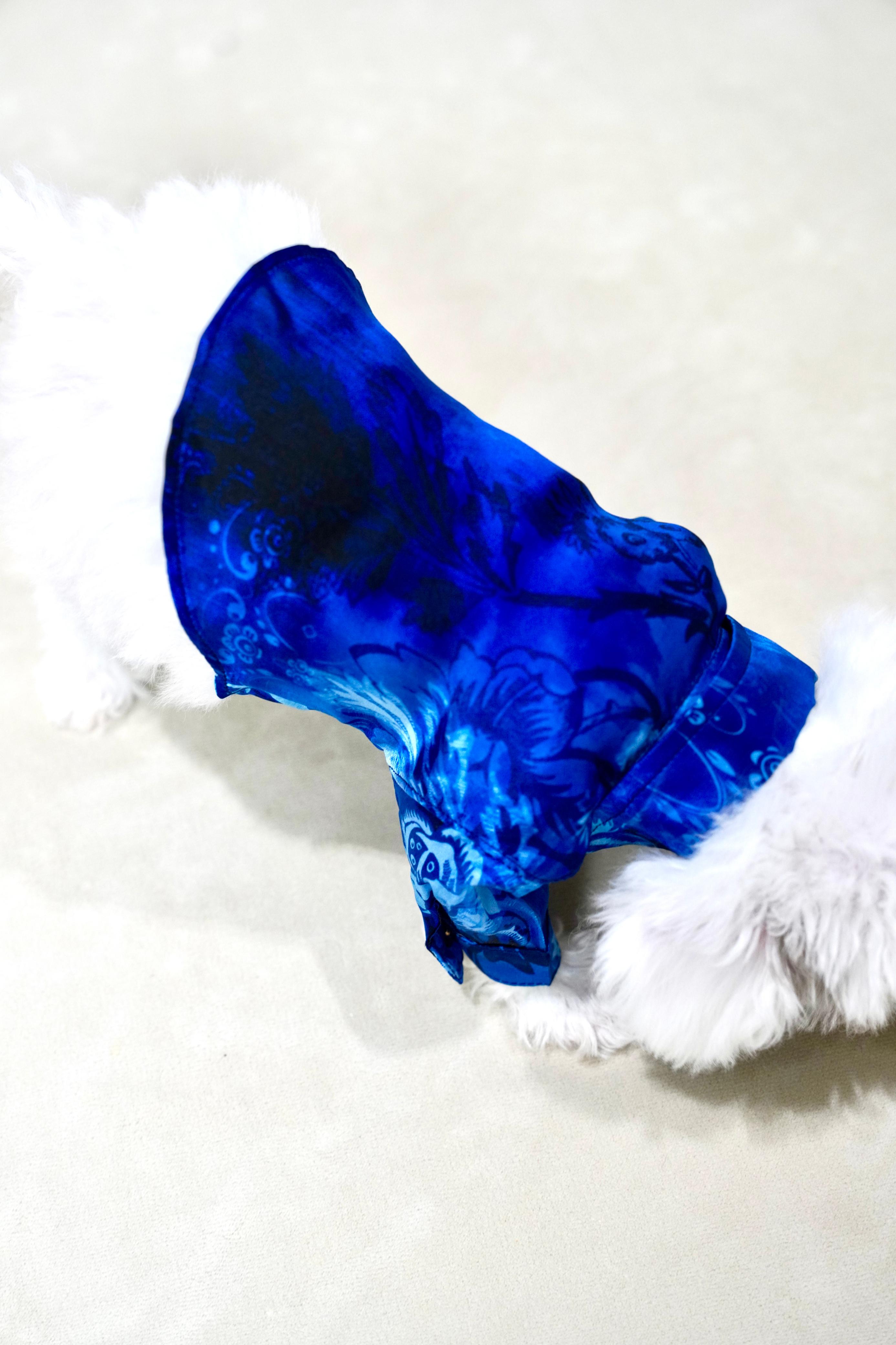 Zampa Designer Silk Chemise – Ocean Royale