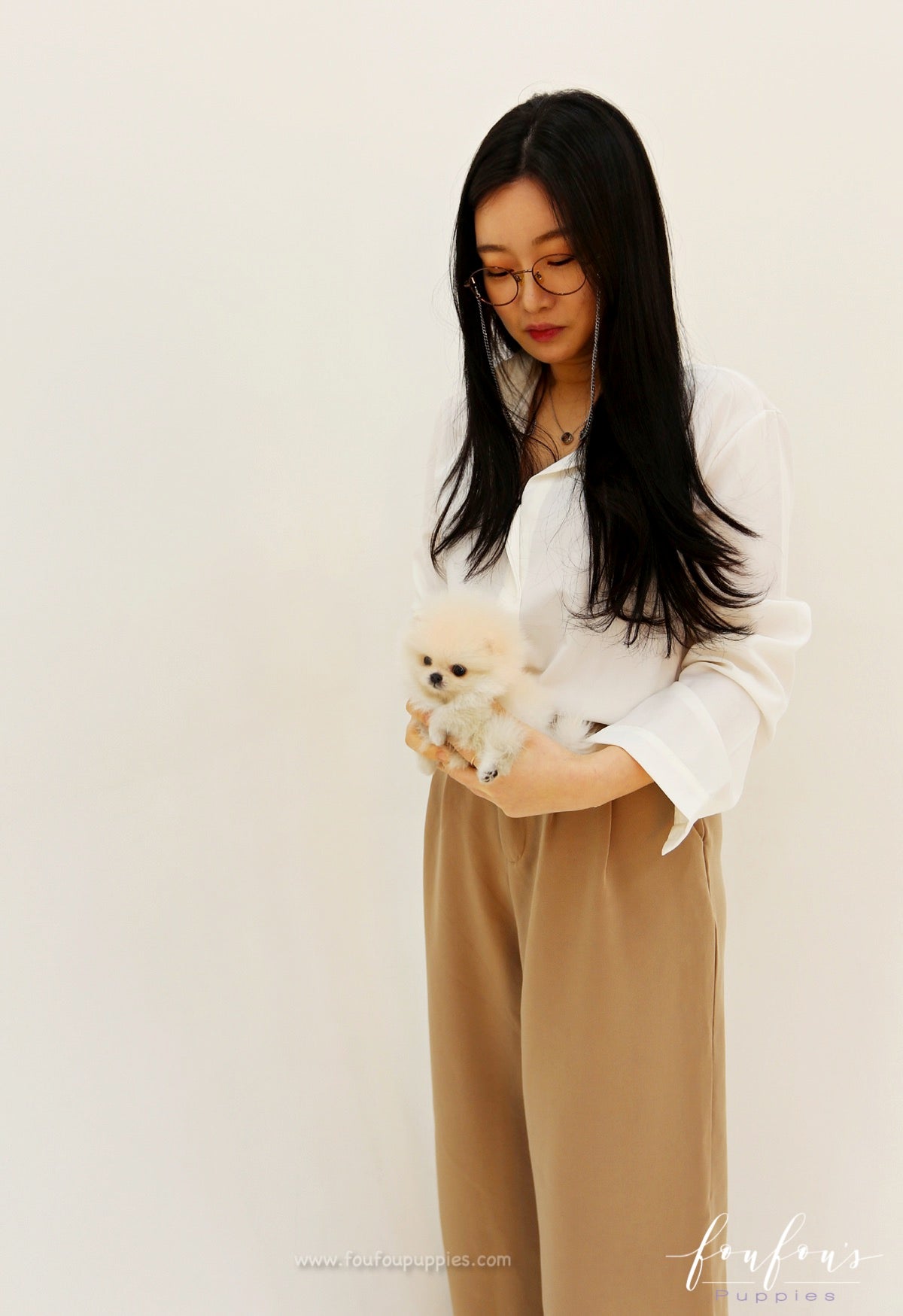 Tiara - Pomeranian F. (Found Home)
