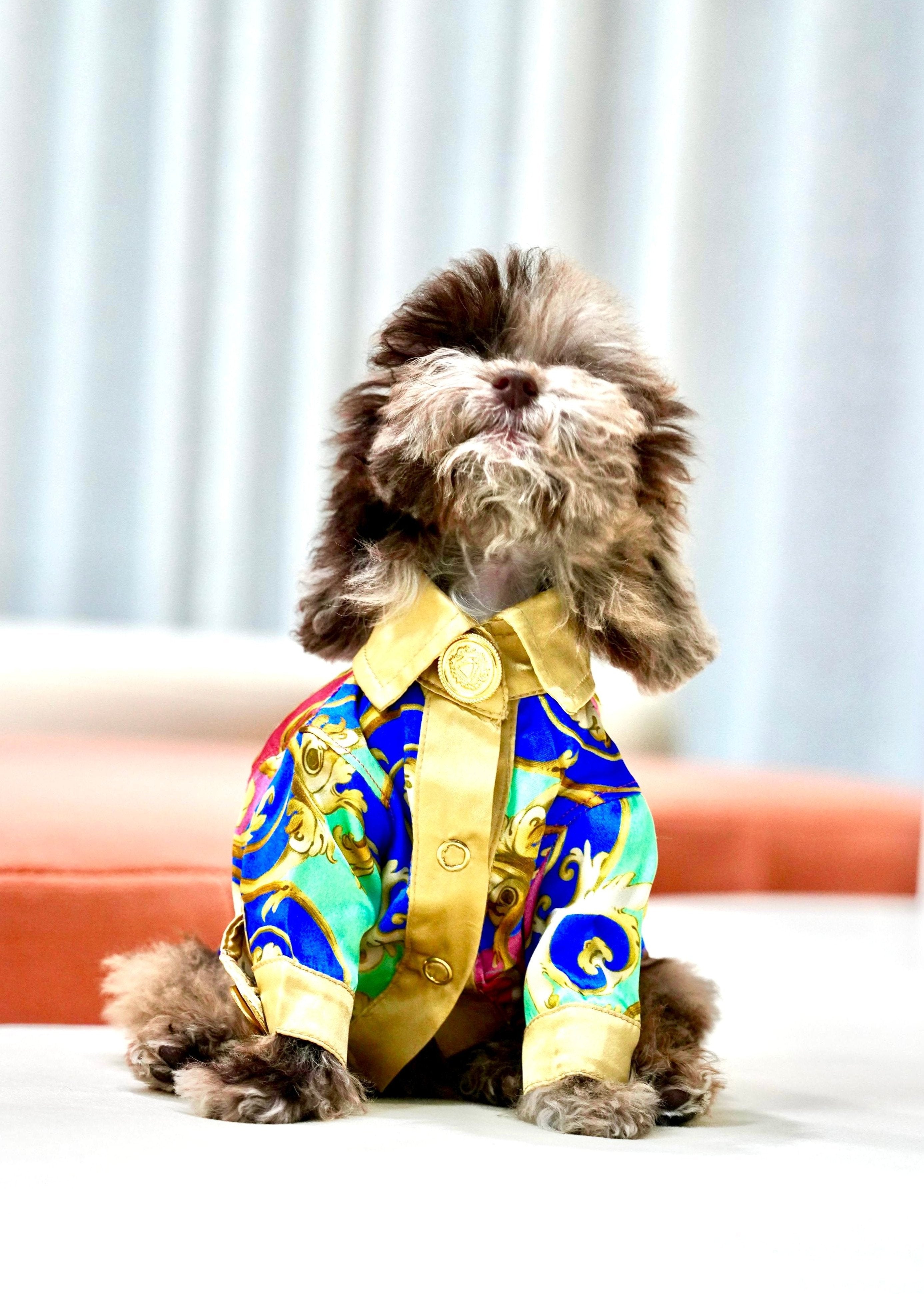 Pet Store Essentials: Must-Have Items for Every Pet Owner in the UAE