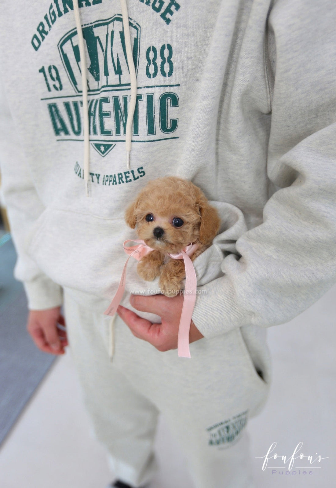 Yuna - Poodle F.