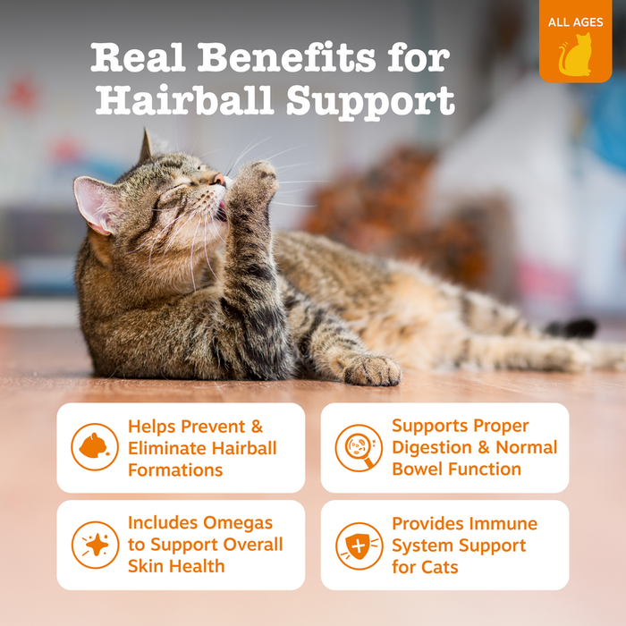 Hairball Bites For Cat - Bacon Flavor - 60 Count Soft Chews