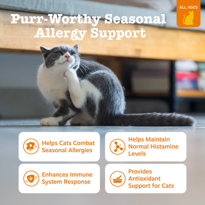 Allergy &amp; Immune Bites For Cat - Bacon Flavor - 60 Count Soft Chews