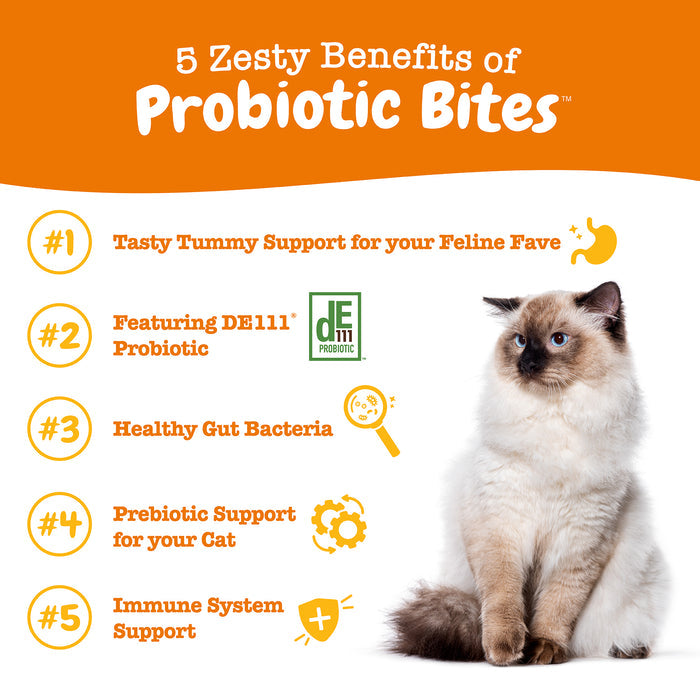 Probiotic Bites For Cats - Chicken Flavor - 60 Count Soft Chews