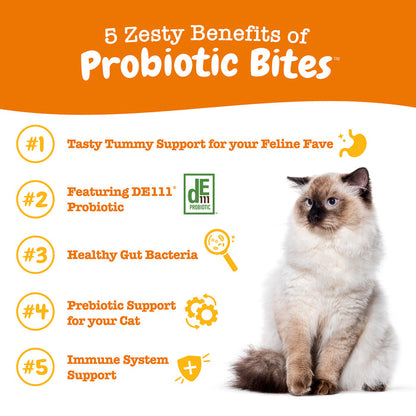 Probiotic Bites For Cats - Chicken Flavor - 60 Count Soft Chews