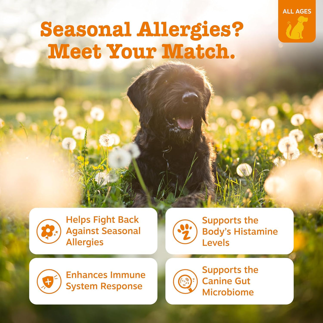 Allergy &amp; Immune Bites For Dog - Lamb Flavor - 90 Count Soft Chews