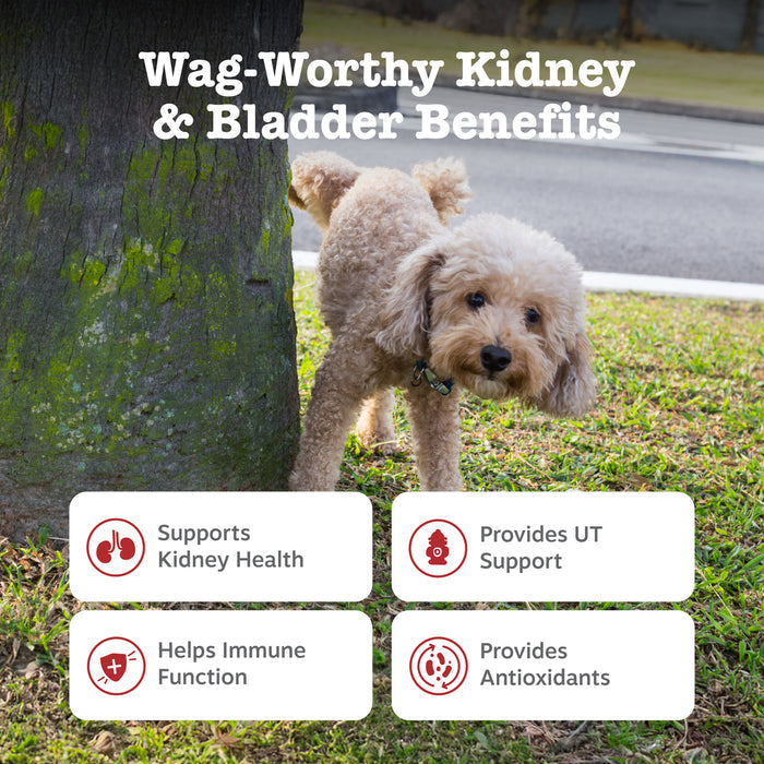 Urinary Tract Bites For Dog - Chicken Flavor - 90 Count Soft Chews