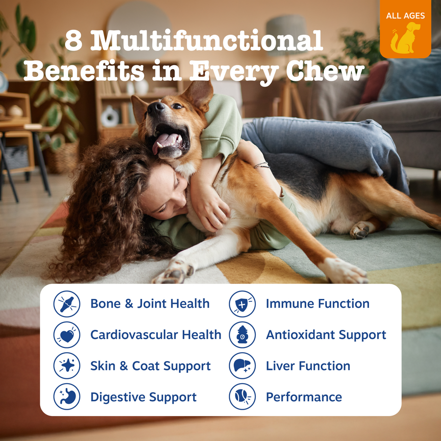 8-in-1 Multivitamin Bites For Dog - Chicken Flavor - 90 Count Soft Chews