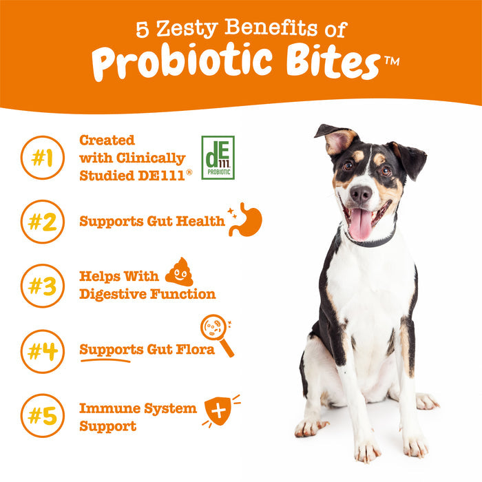 Probiotic Bites For Dog - Pumpkin Flavor - 90 Count Soft Chews