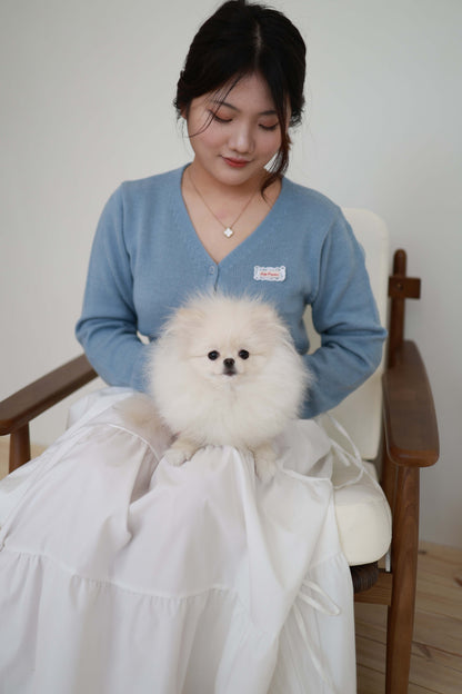 Sweetie - Pomeranian F.