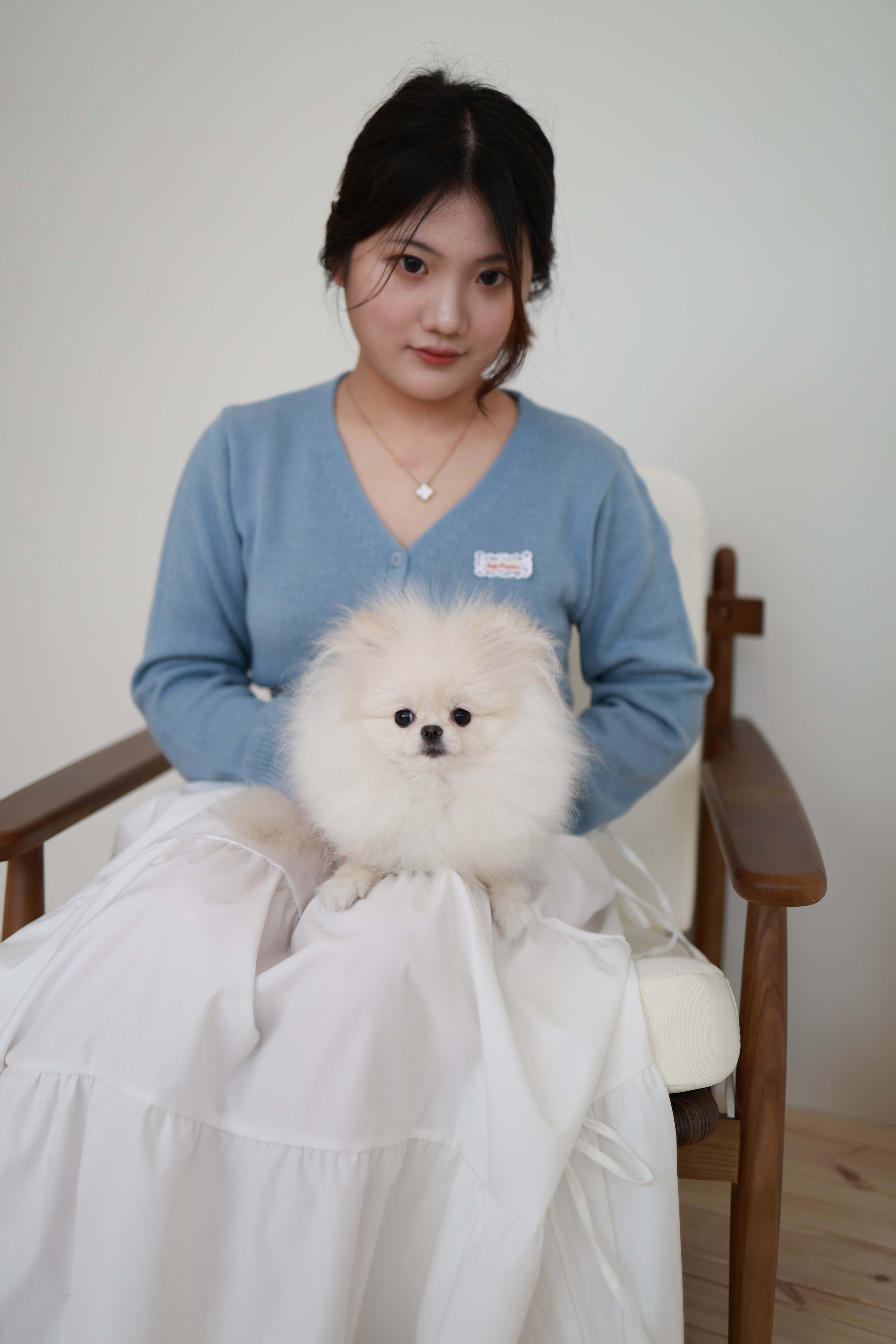 Sweetie - Pomeranian F.