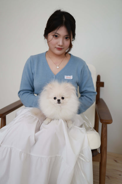 Sweetie - Pomeranian F.