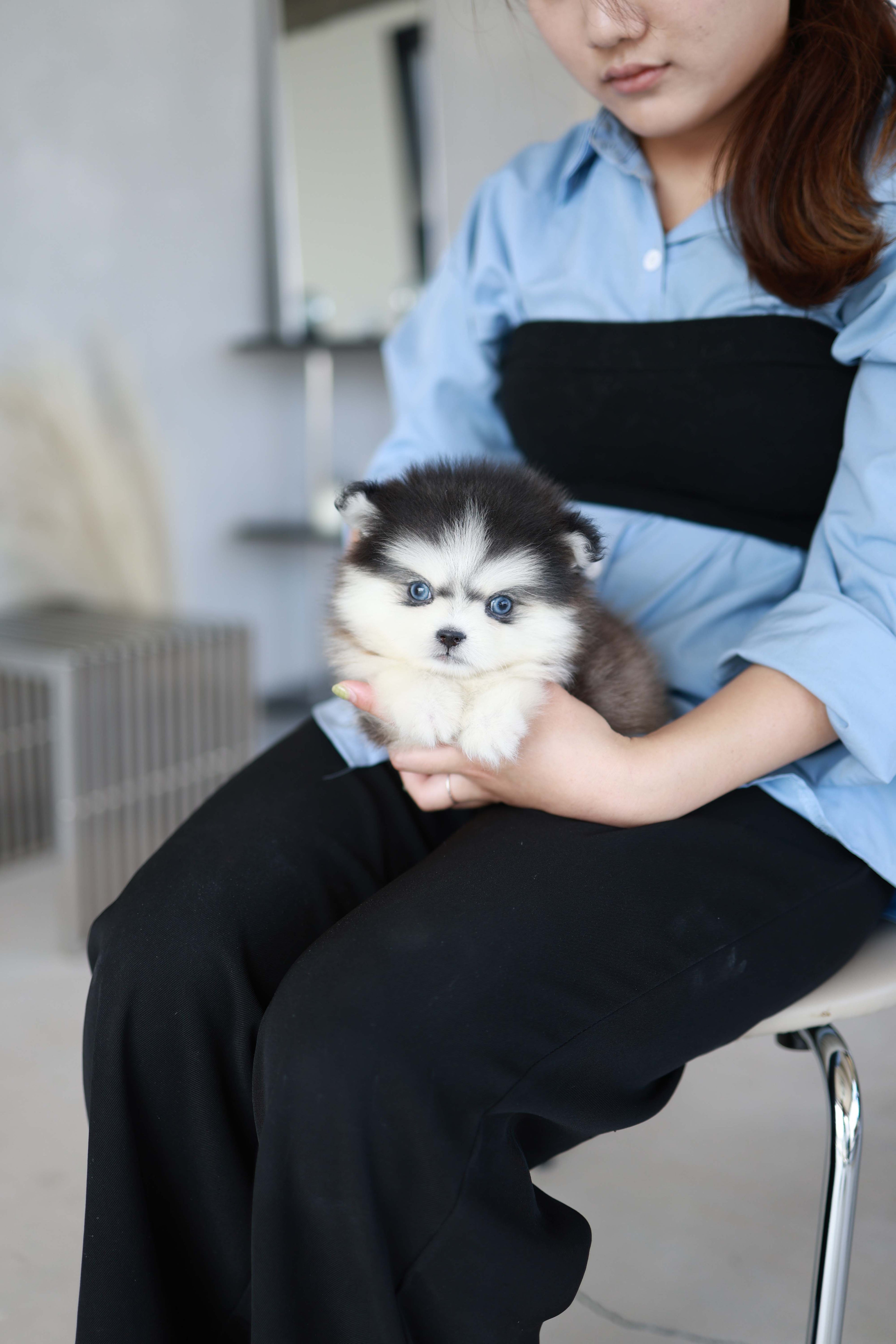 Atom - Pomsky M.