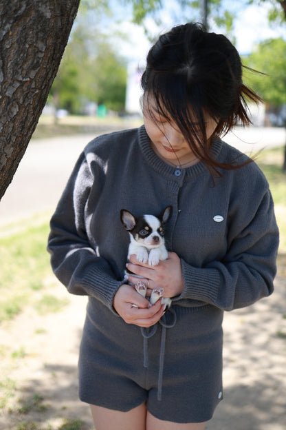 Atom - Chihuahua M.