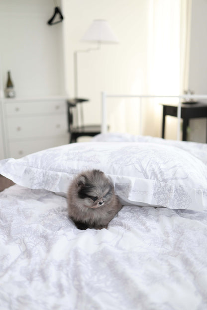 MushMush - Pomeranian M.