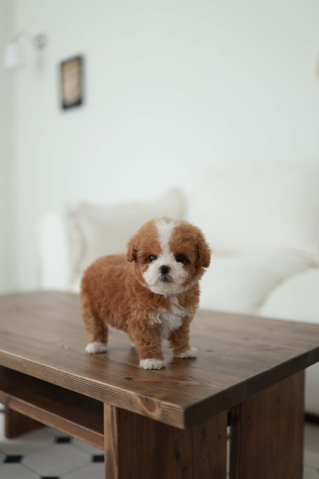 Pico