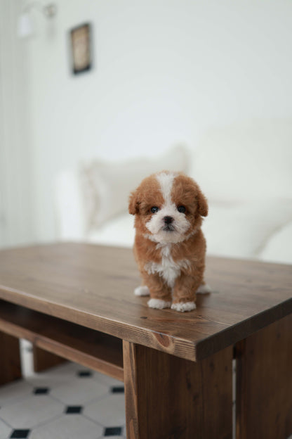 Pico